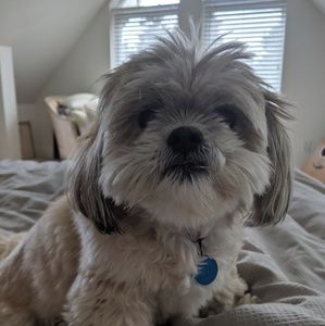 Meet your Posher, Astrid